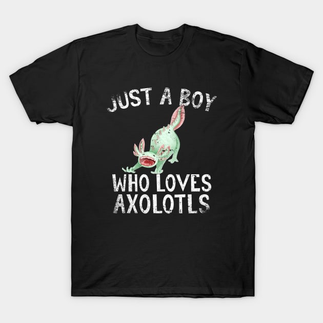 Just A Boy Who Loves Axolotls T-Shirt by simonStufios